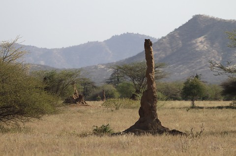 Ethiopia-Landscape