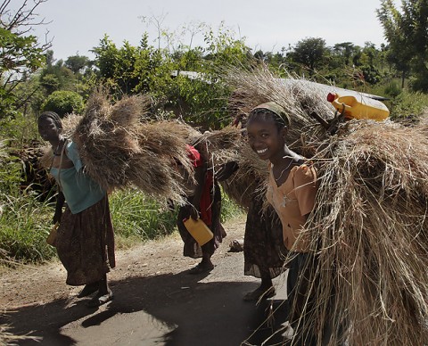 Konso