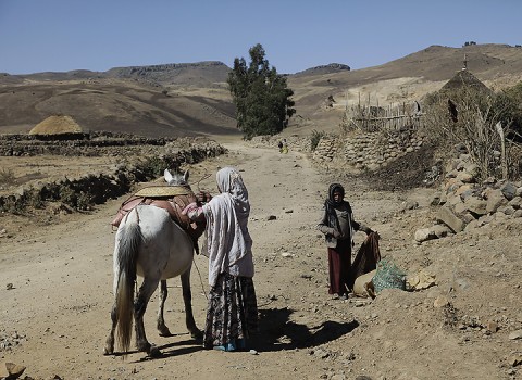 Oromo/Amhara