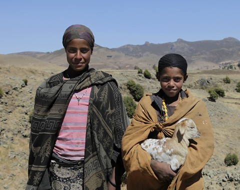 Oromo/Amhara