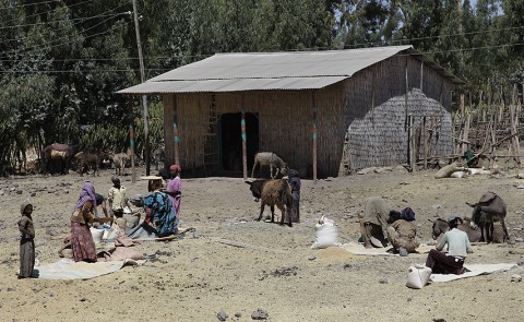 Oromo/Amhara
