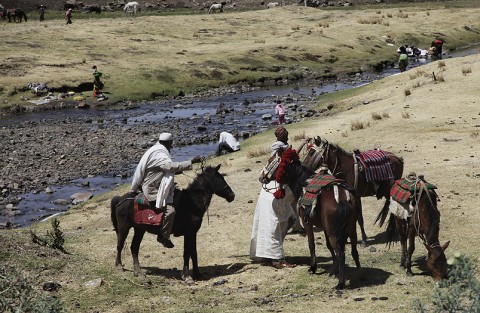 Oromo/Amhara