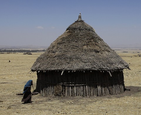 Oromo/Amhara