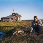 arcticfox94.jpg