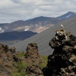 gyr04.jpg
