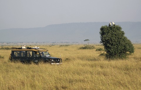 Kenya-landscape-023.jpg