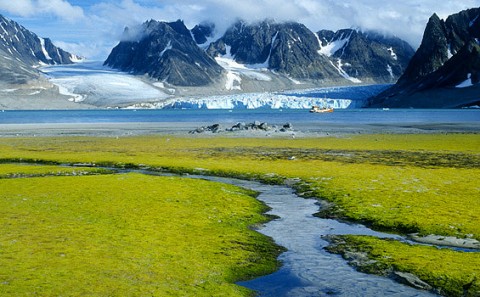 landscape24.jpg