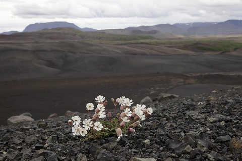 From Hverfjall vulcano against the Ludent vulcano, north Iceland