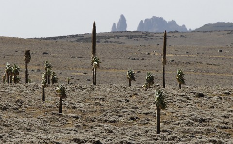 Ethiopia-Landscape