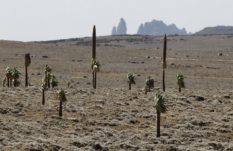 Ethiopia-Landscape