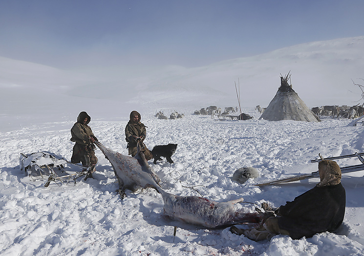 Деятельность человека в арктике. Жизнь и быт людей арктических пустынь. Арктика презентация. Занятия людей в арктике. Занятия населения в арктике.