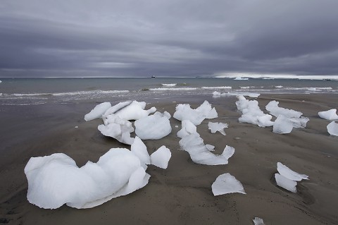 LS-86. Part of Cape Tyrol, Wiener Neustadt Island, Franz Josef Land, Russia