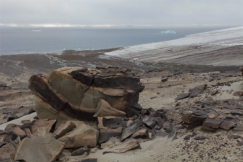 Champ Island on Franz Josef Land, Russia