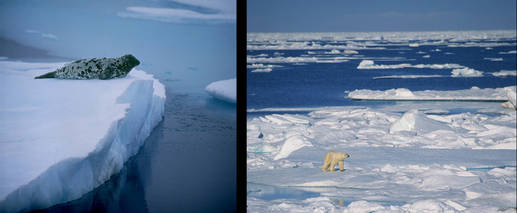 Tunu,- the backside of Greenland